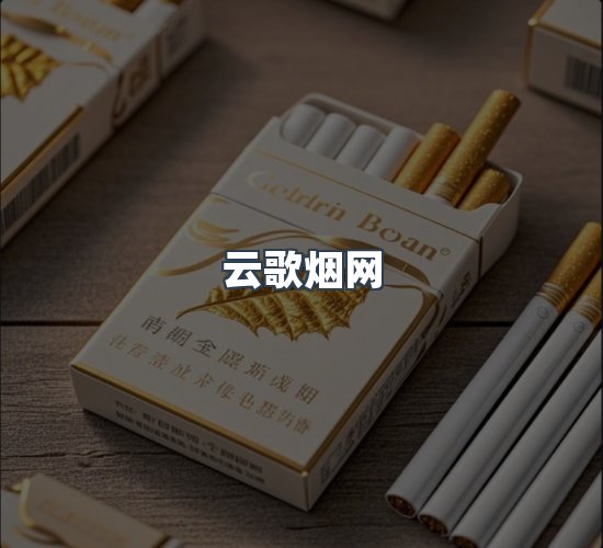关于云歌烟网